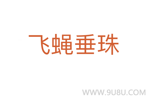 飞蝇垂珠