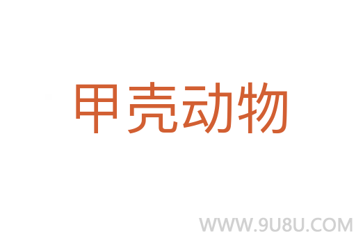 甲壳动物