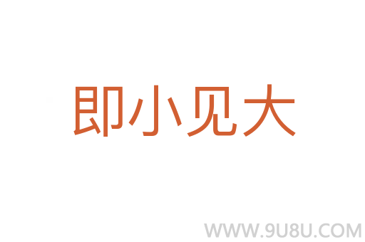 即小见大