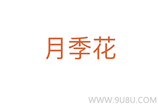 月季花