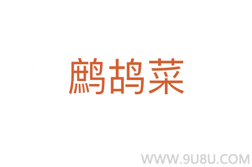 鹧鸪菜