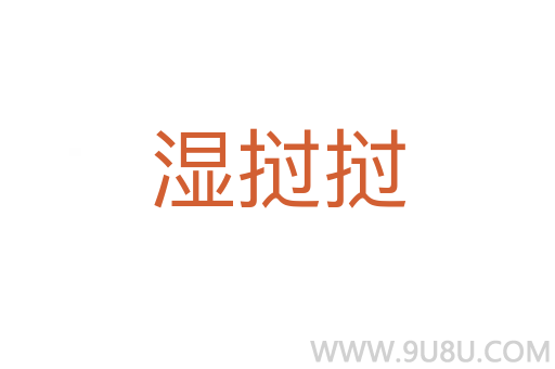 湿挝挝