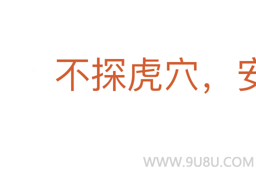 不探虎穴，安得虎子