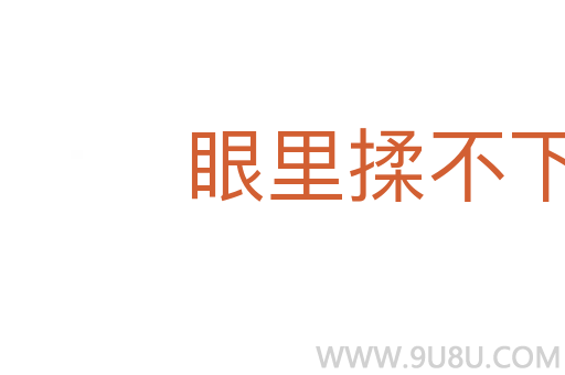 眼里揉不下沙子