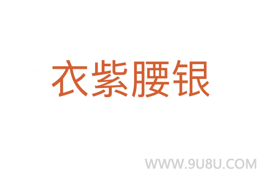 衣紫腰银