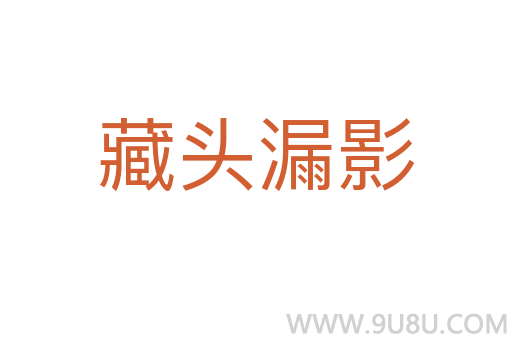 藏头漏影
