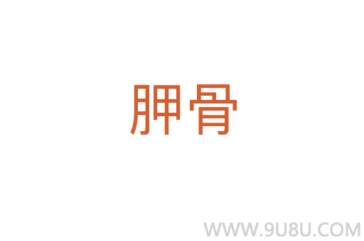 胛骨