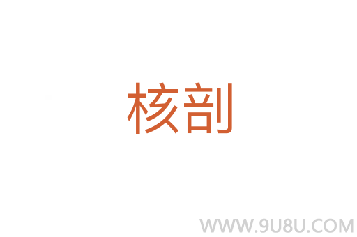 核剖