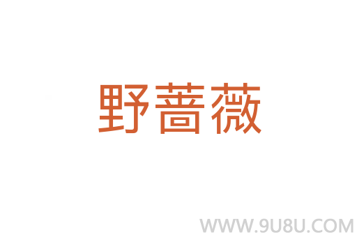 野蔷薇