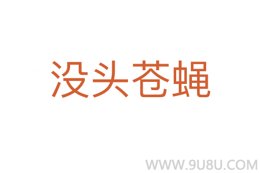 没头苍蝇