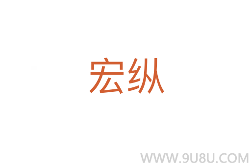 宏纵