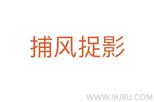 捕风捉影