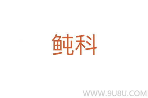 鲀科