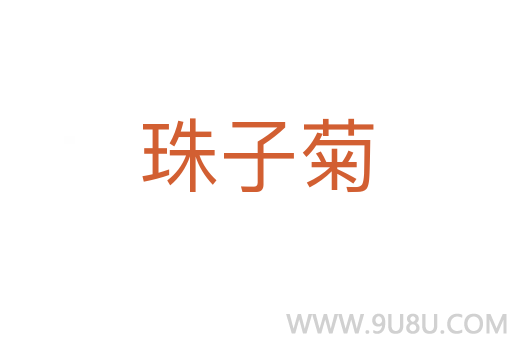 珠子菊