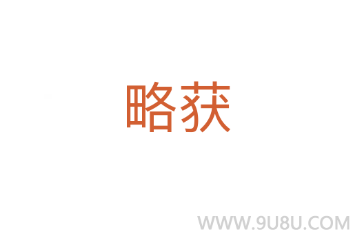 略获
