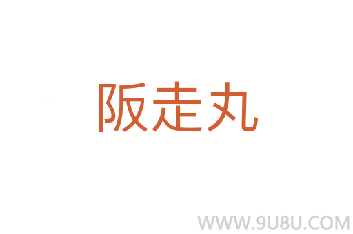 阪走丸