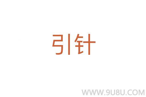 引针