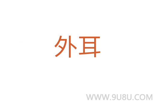 外耳