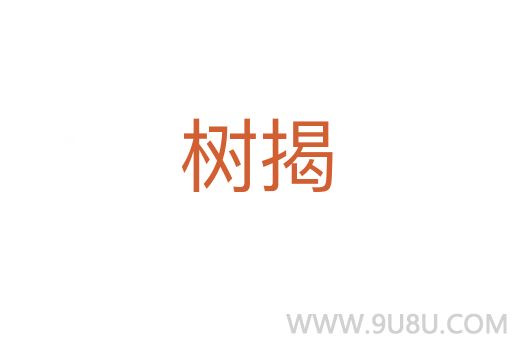 树揭