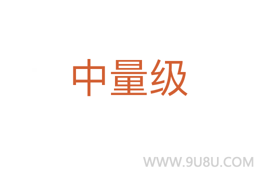 中量级