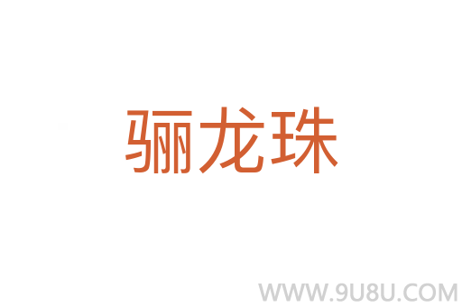 骊龙珠