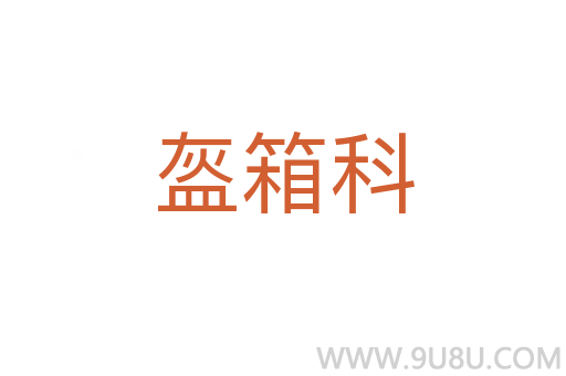 盔箱科