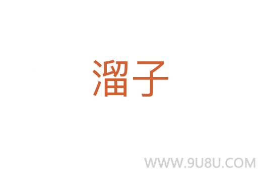 溜子