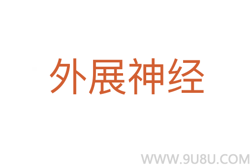 外展神经