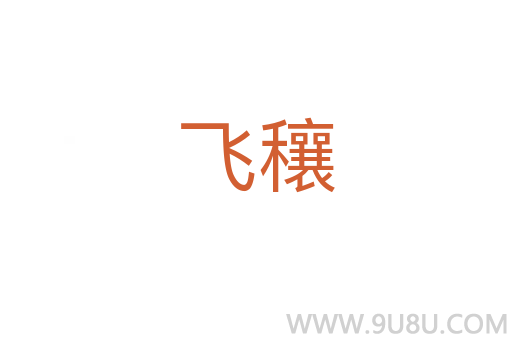 飞穰