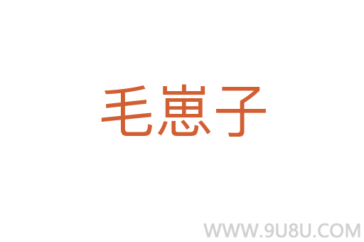 毛崽子