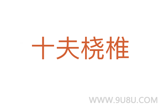 十夫桡椎