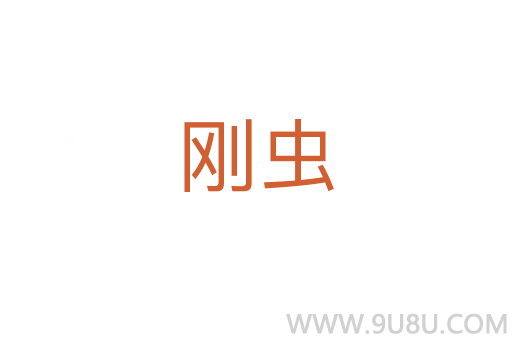 刚虫