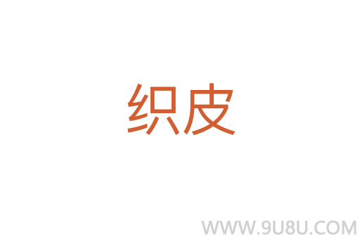 织皮