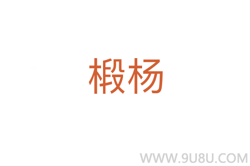 椴杨