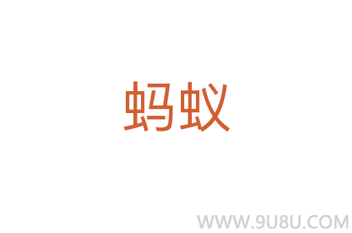 蚂蚁