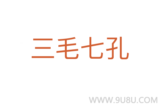 三毛七孔
