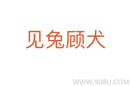 见兔顾犬