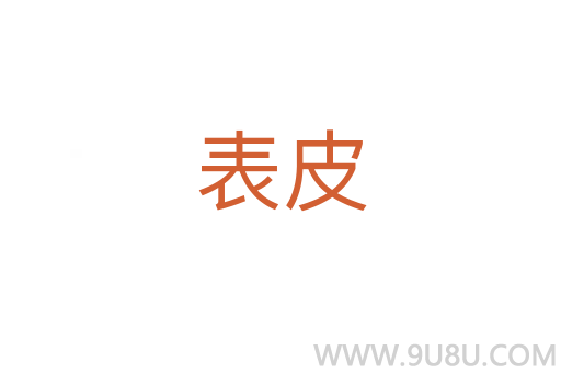 表皮