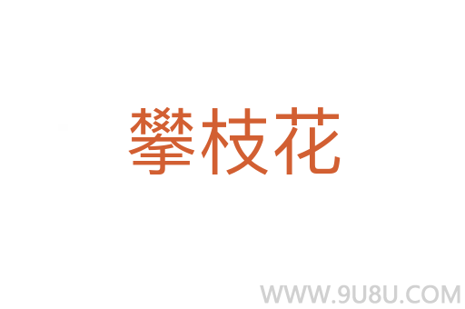 攀枝花