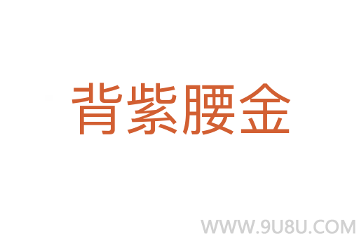 背紫腰金