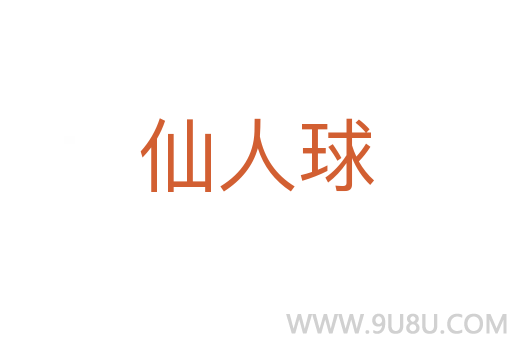 仙人球