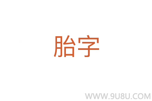 胎字
