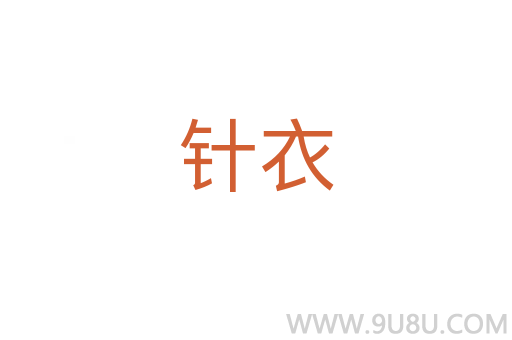 针衣