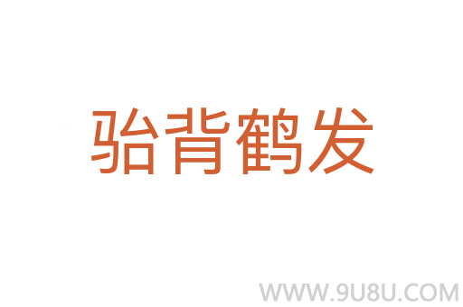 骀背鹤发