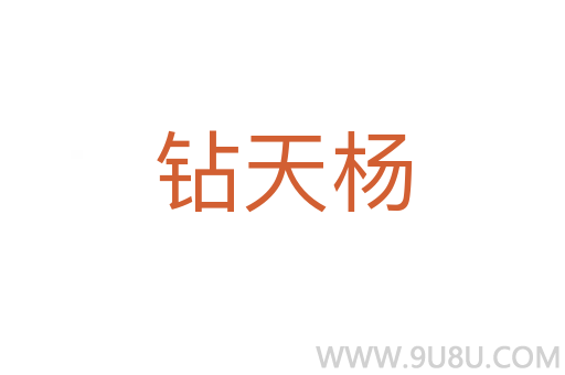 钻天杨