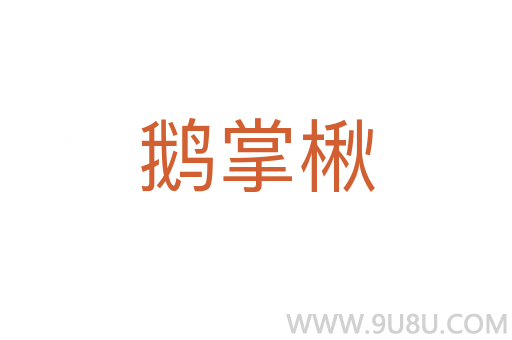 鹅掌楸