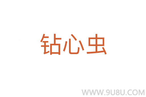 钻心虫