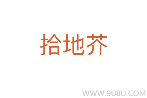 拾地芥