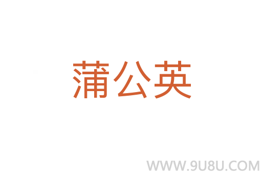 蒲公英