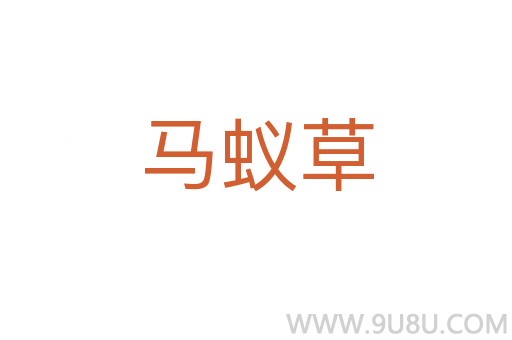 马蚁草